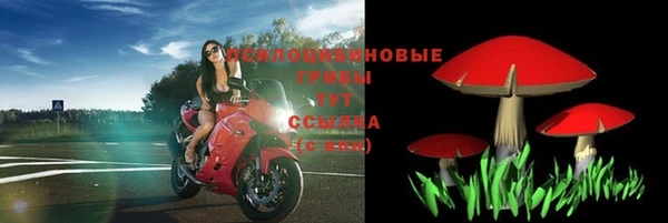 молекула духа Абдулино