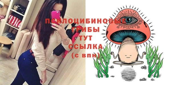 прущая мука Абинск