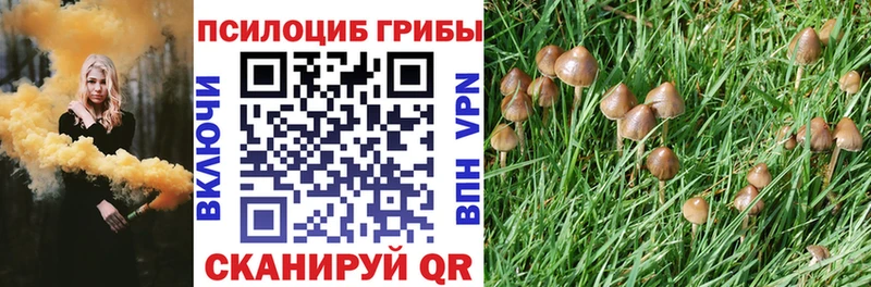 Псилоцибиновые грибы мухоморы  Шумерля 